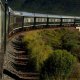 Outeniqua Outeniqua
